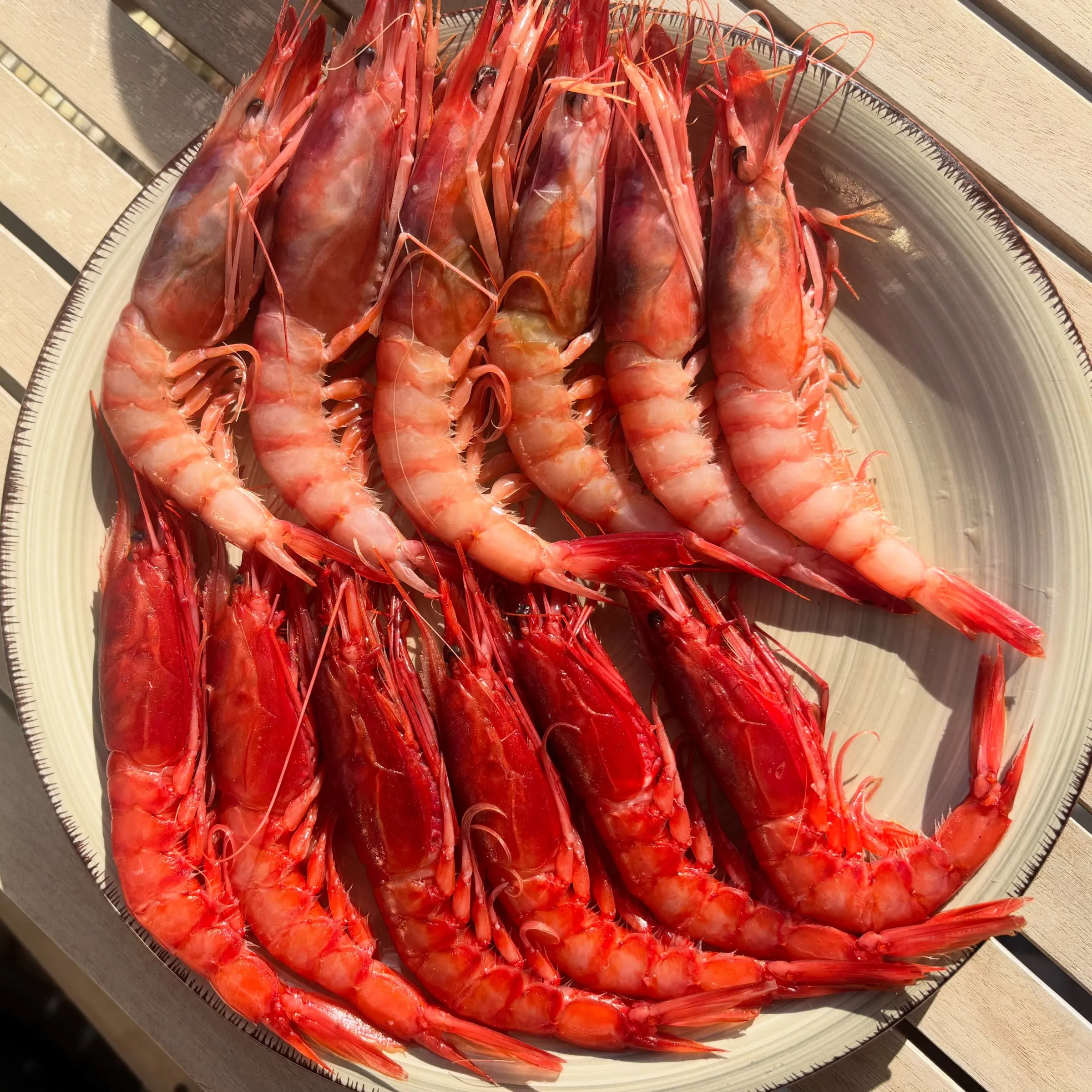 Wild Mallorcan and red carabinero prawns