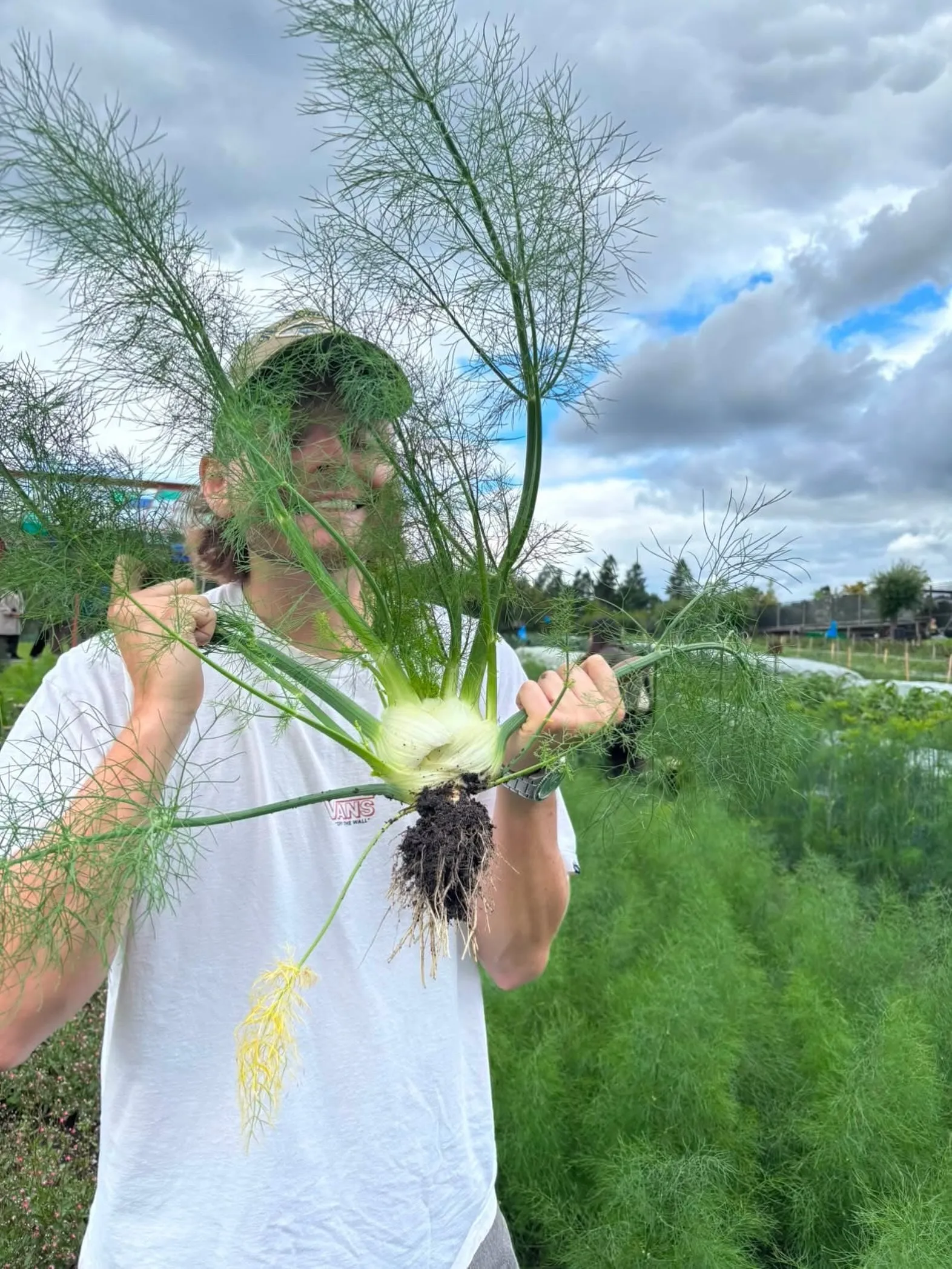 Elliot holding freshly picked fennel in a field