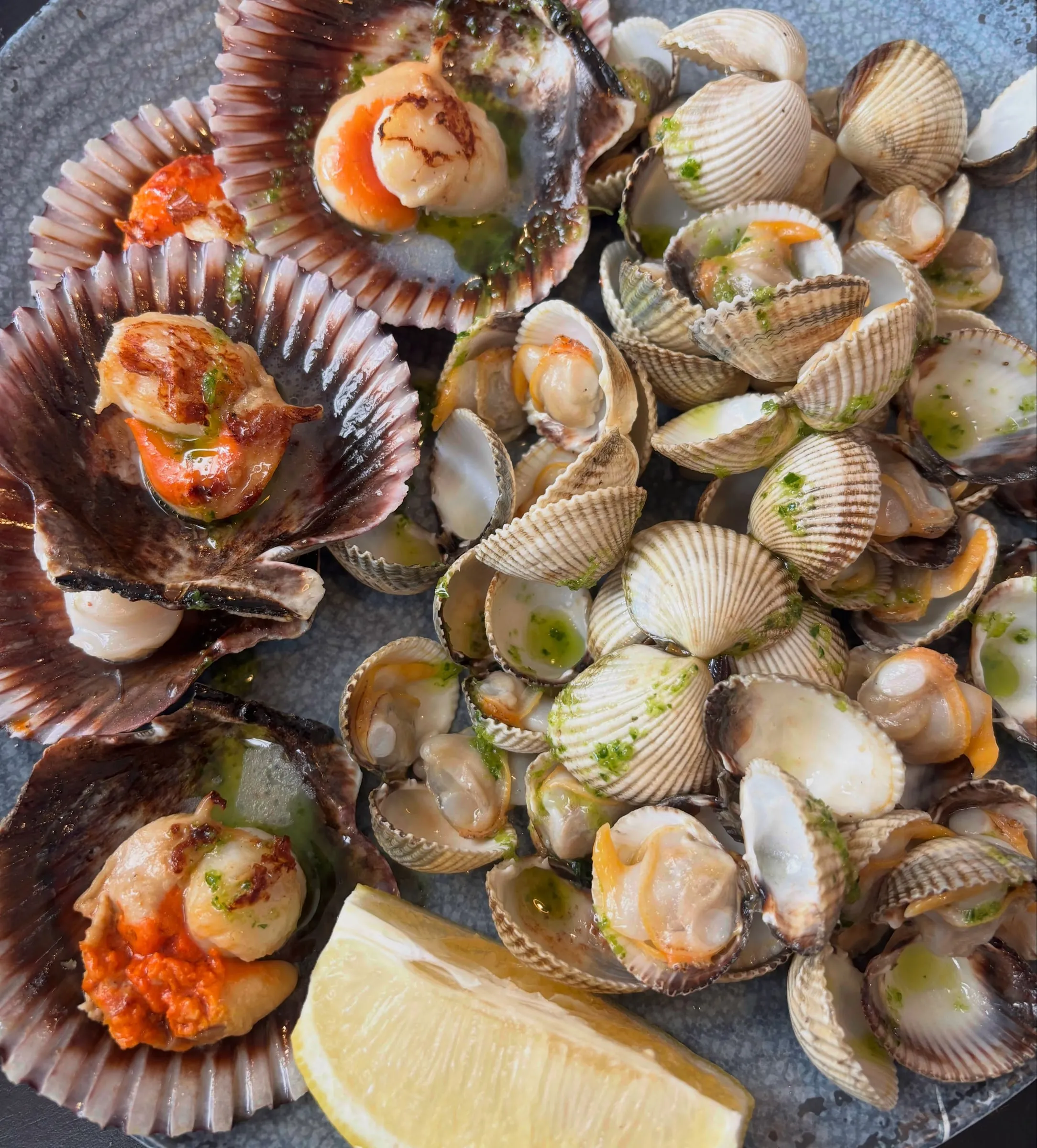 Pan-fried scallops and cockles with garlic and parsley oil
