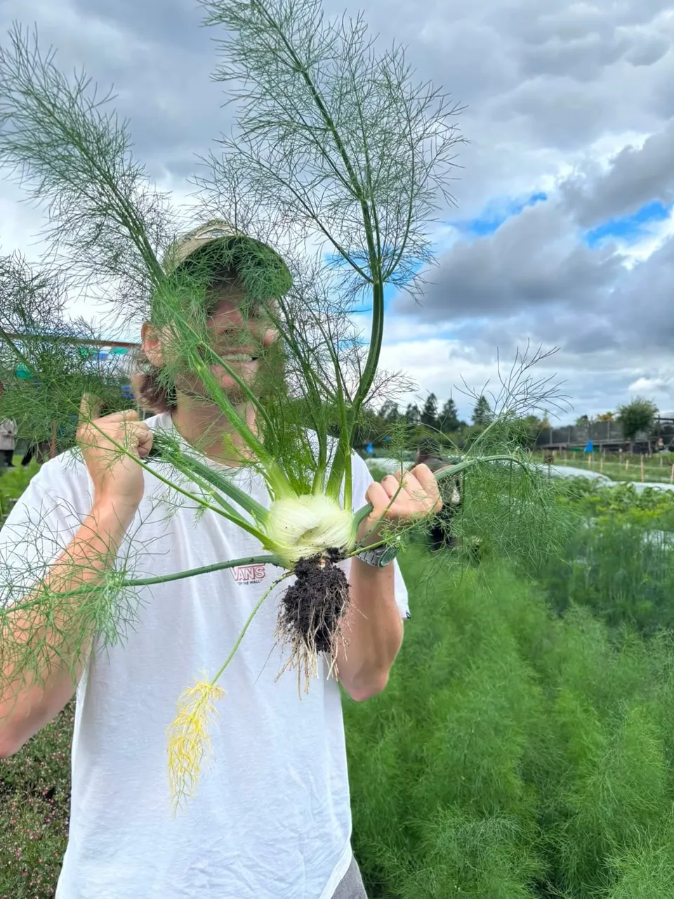 Elliot holding freshly picked fennel in a field
